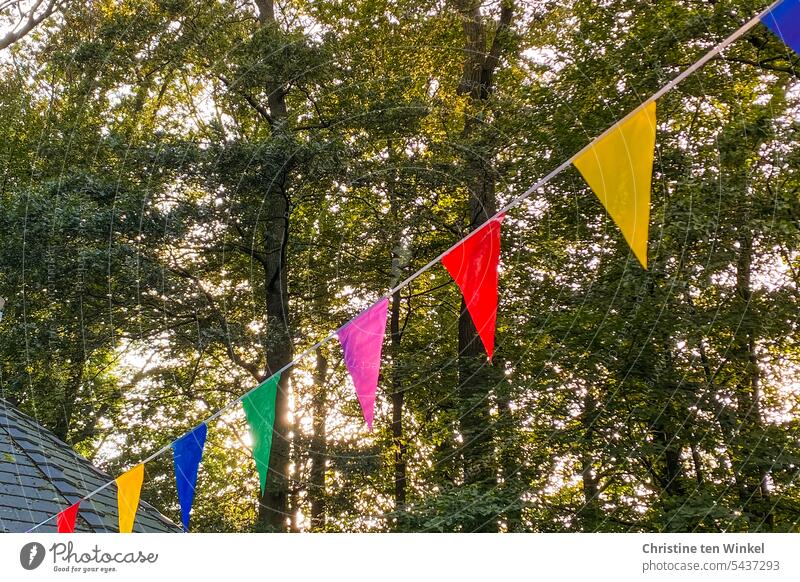 1500 | a cheerful colorful pennant chain hangs in the forest in front of tall trees Party Jubilee party decoration Feasts & Celebrations Birthday Decoration Joy
