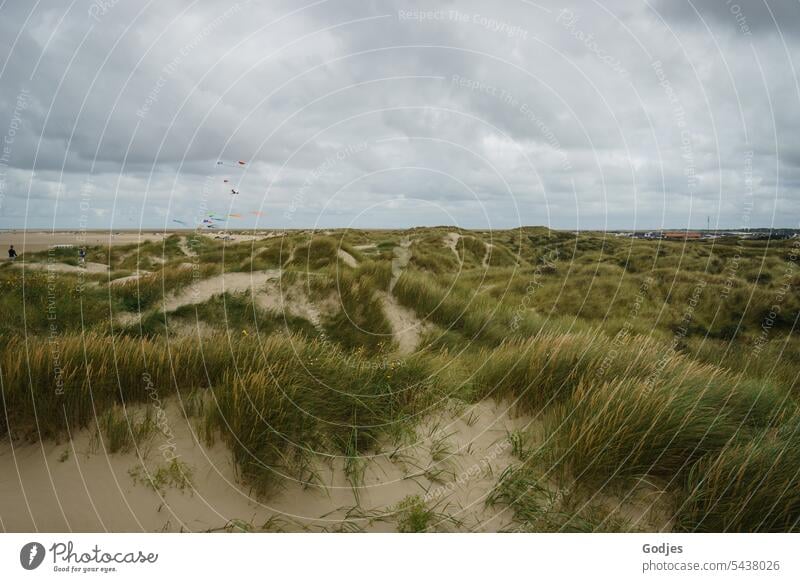 Dune landscape at the North Sea, Rømø, Denmark dunes Marram grass Sky Clouds Sand North Sea coast Vacation & Travel Beach Nature Landscape vacation duene Ocean