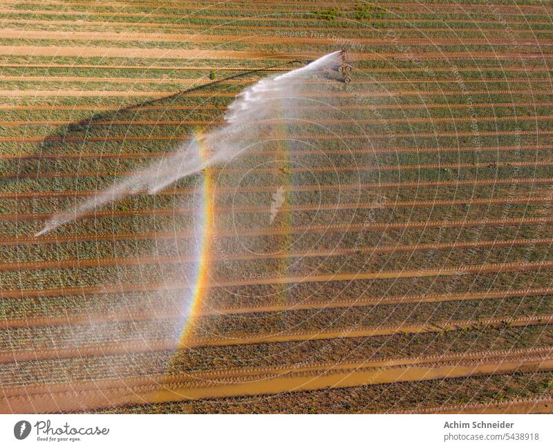 Spectacular rainbow on irrigation in a field Sprinkler Irrigation Irrigation system Drre Equipment Field Field irrigation White crest ardor Climate change