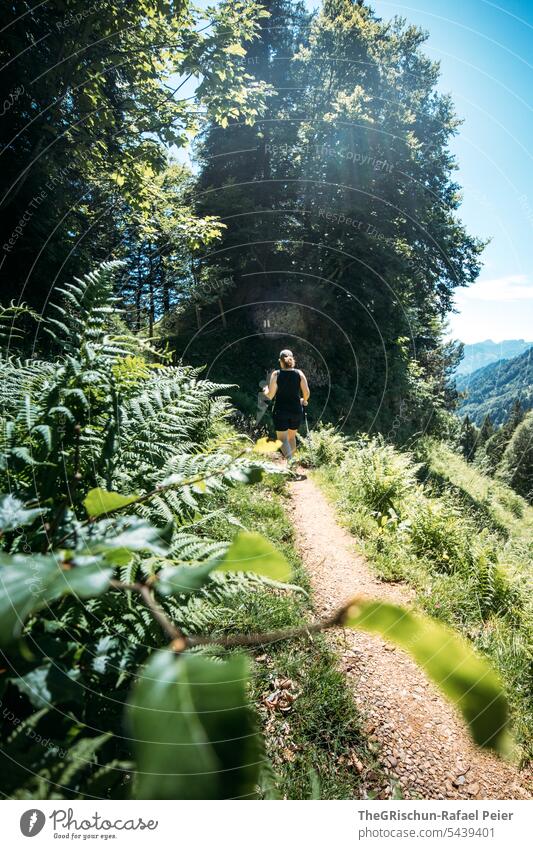 Woman on a hiking trail against the light hike Switzerland Mountain Alps mountains Nature Landscape Tourism Walking Hiking Exterior shot Sky tourist region