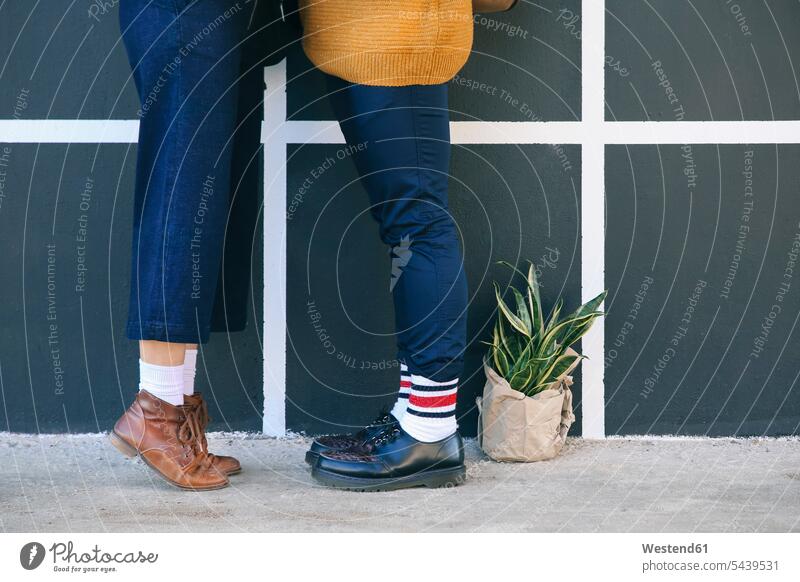 Kissing young couple, partial view twosomes partnership couples leg legs human leg human legs people persons human being humans human beings potted plant