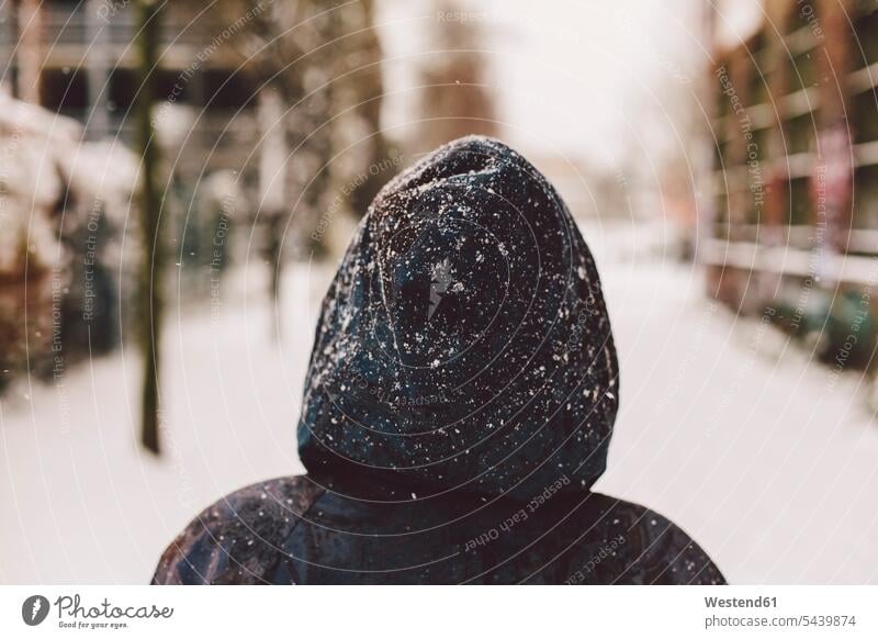 Germany, Saxony, Leipzig, Plagwitz, hood from behind hoods snow-covered snowy snow covered covered in snow focus on foreground blurred focus on the foreground