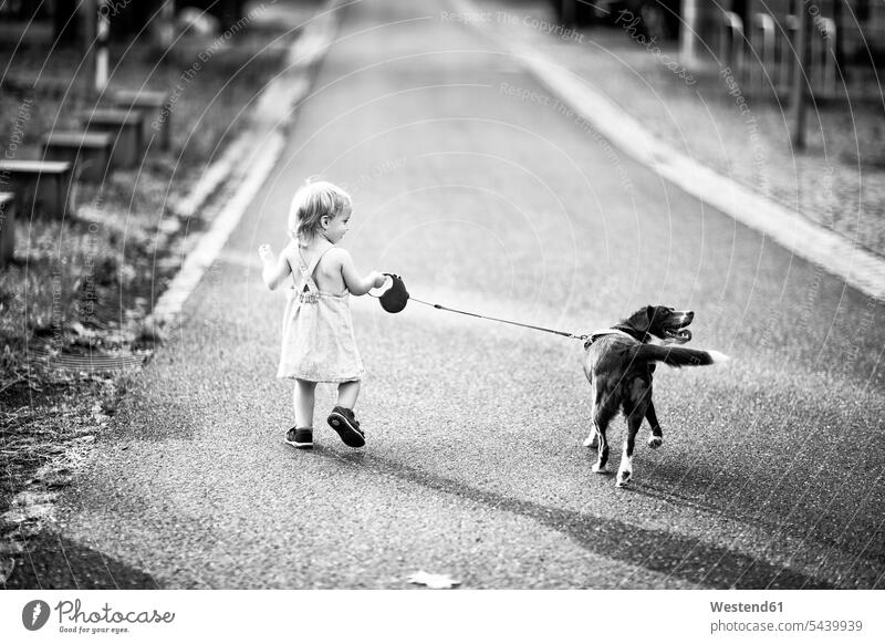 Back view of little girl walking along the street with her dog caucasian caucasian ethnicity caucasian appearance european rear view back view