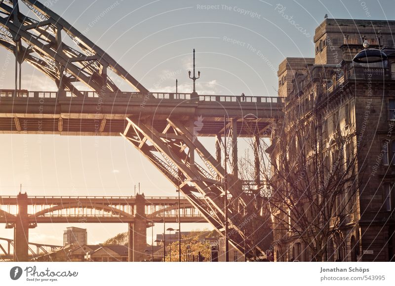 Newcastle upon Tyne III Great Britain England Town Joie de vivre (Vitality) Esthetic Bridge Bridge construction Steel bridge River Sunlight Sunbeam Dreamily