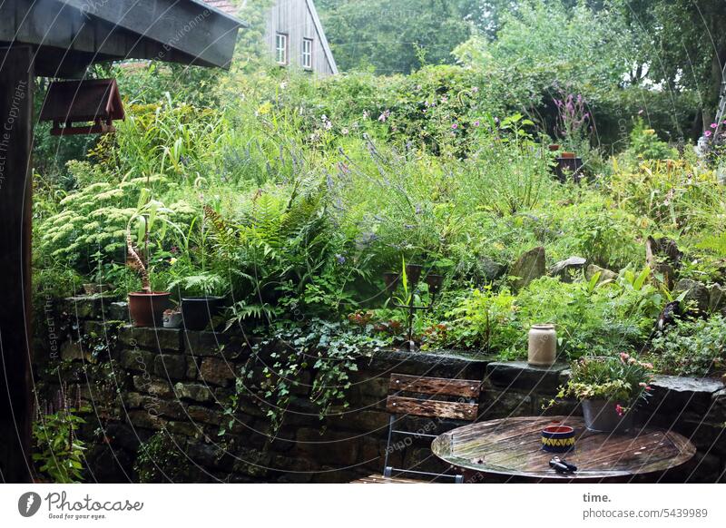 Paradise with garden table Tree Nature Landscape Environment salubriously Fresh Chair Table Garden plants extension house roof dwell bird house Green Fern Hedge