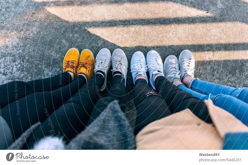 Legs of four friends standing side by side human human being human beings humans person persons human leg human legs mate female friend in paralell Juxtaposed