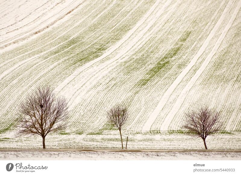 snow covered field with three trees and a country road in foreground Winter Field Country road winter landscape Rural Tree Snow layer Climate Frost Blog Seasons