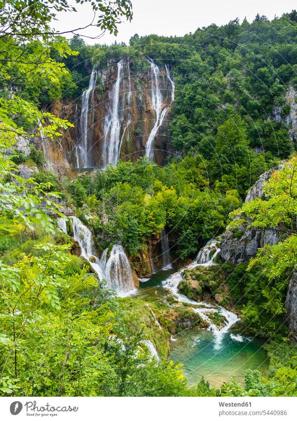 Croatia, Lika-Senj, Osredak, Plitvice Lakes National Park,waterfall National Parks Tree Trees landscape landscapes scenery terrain Travel destination