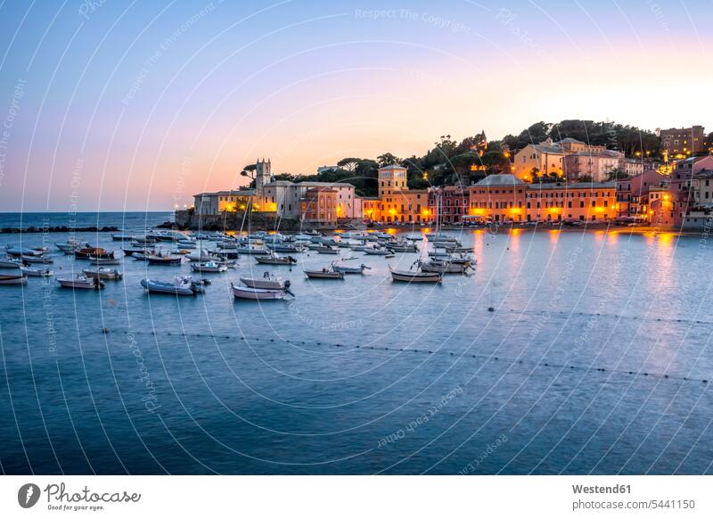 Italy, Liguria, Sestri Levante at dusk nobody clear sky copy space cloudless Blue Hour Sea ocean boat boats harbour romantic lyrical Romance atmosphere