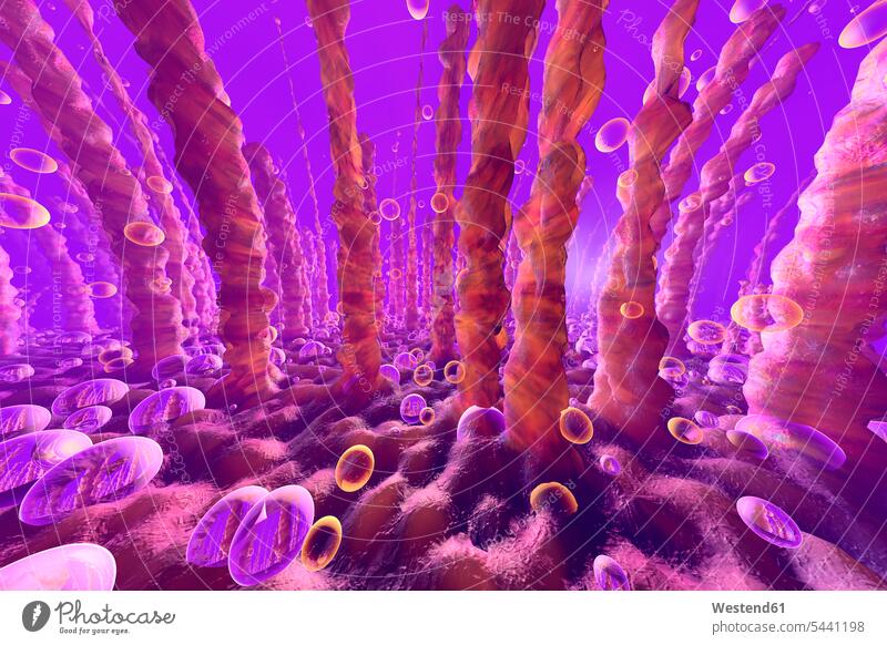 3D Illustration of lung or liver cells with oxygen bubbles floating within sphere ball balls Spheres hovering organs Progress 3D Rendering 3D-Rendering