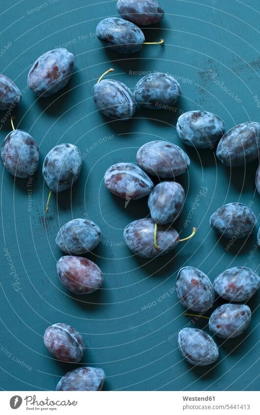 Plums on blue ground fruit plum plums close-up close up closeups close ups close-ups large group of objects many objects stalk Stipes Plant Stem stalks Stems