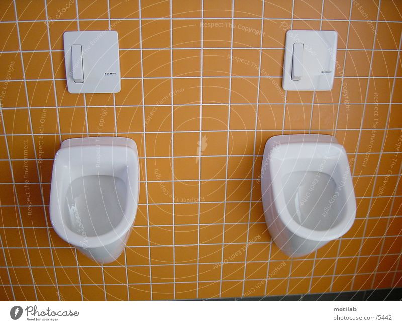 urinal Urinal Things Toilet