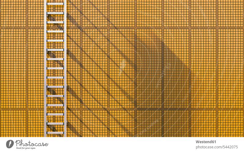 Ladder fixed at tiled wall, 3D Rendering concept concepts conceptual structure structures pattern patterns sunlight Sunlit full frame shadow shadows Shades line