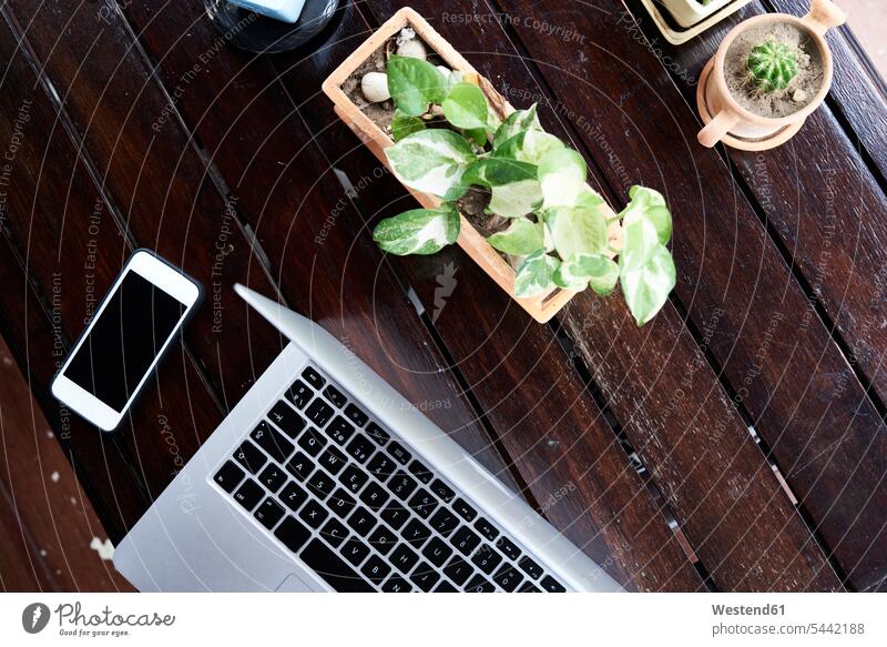 Overhead view of cell phone and laptop on wooden table with plants Plant Plants mobile phone mobiles mobile phones Cellphone cell phones Laptop Computers