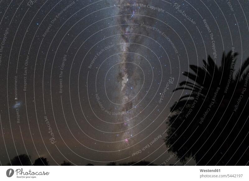 Namibia, Region Khomas, near Uhlenhorst, Astrophoto, Southern Milky Way and Small Magellanic Cloud with palm trees in foreground, soft processing landscape