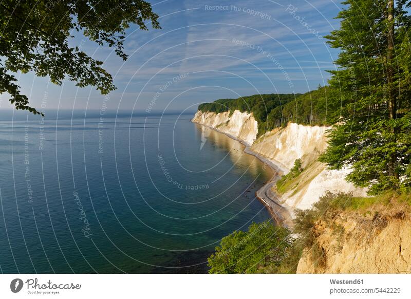 Germany, Mecklenburg-Western Pomerania, Jasmund National Park, Chalk coast at the Baltic Sea nobody chalk cliff chalk cliffs chalk coast White Cliffs Ruegen