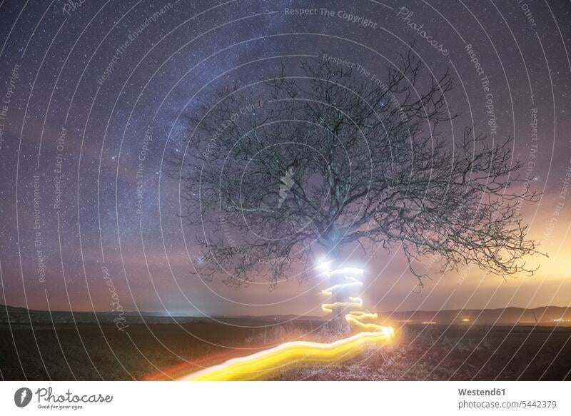 Milky way and light painting tree atmosphere atmospheric mood moody Atmospheric Mood Vibe Idyllic starry sky Starscape illumination lighting Spain illuminated