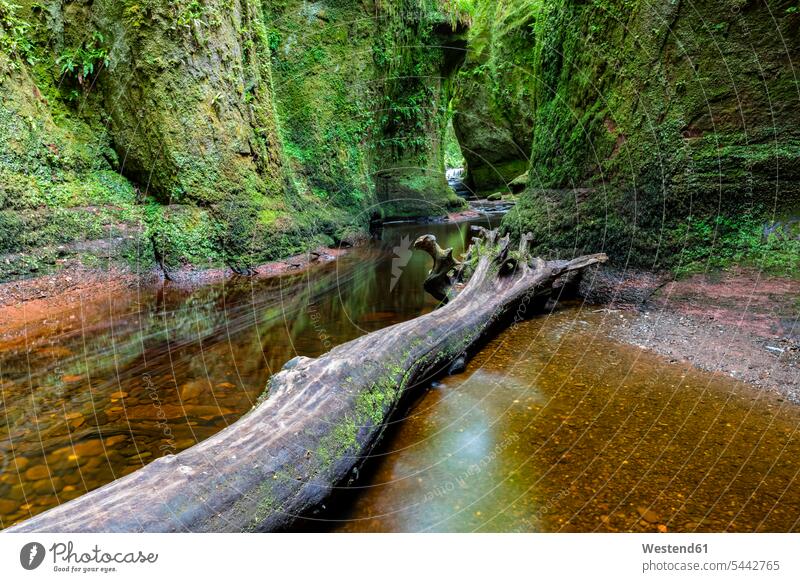 Great Britain, Scotland, Trossachs National Park, Finnich Glen canyon, The Devil's Pulpit, River Carnock Burn, deadwood Gorge Flume green landscape landscapes