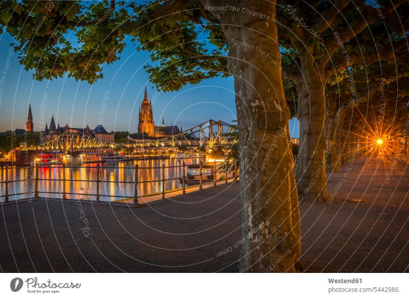 Germany, Frankfurt, view from Schaumainkai to Main River and Frankfurt Cathedral evening in the evening tranquility tranquillity Calmness Tree Trunk Tree Trunks