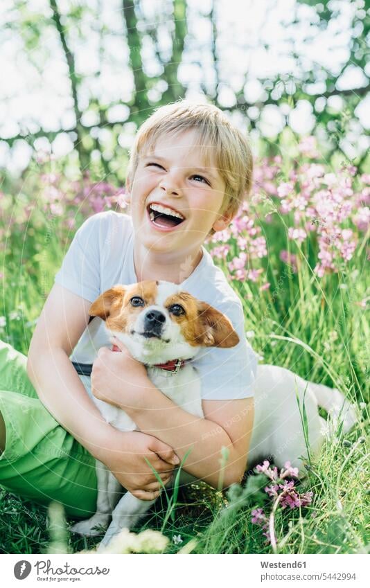 Portrait of laughing little boy sitting with his dog on meadow in the garden dogs Canine portrait portraits boys males pets animal creatures animals child