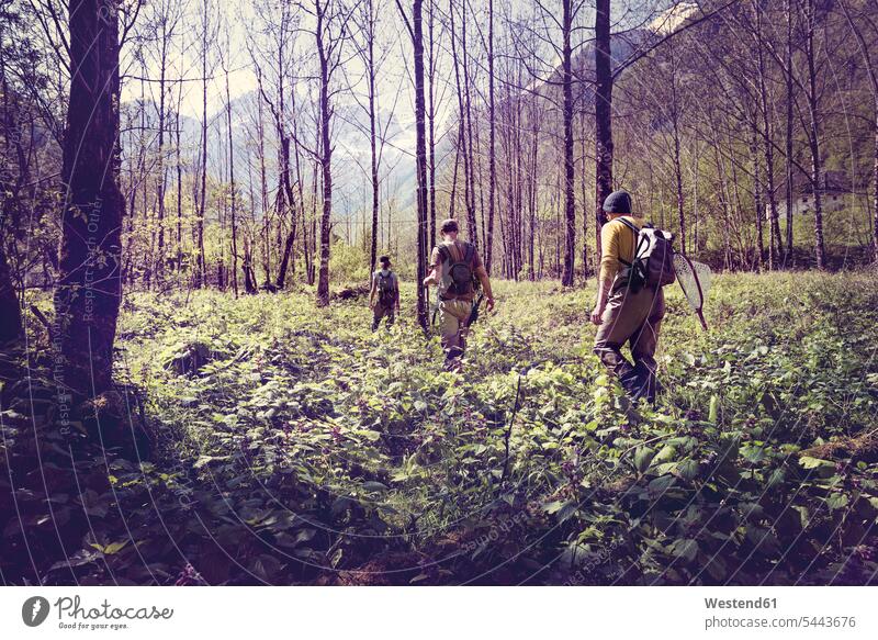 Slovenia, Bovec, three anglers walking in forest towards Soca river woods forests hiking hike friends going man men males friendship Adults grown-ups grownups