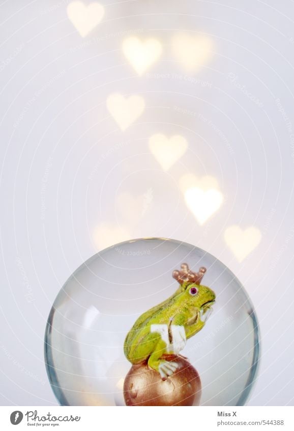 in love Valentine's Day Frog 1 Animal Heart Kissing Illuminate Love Slimy Emotions Moody Infatuation Romance Frog Prince Prince Charming Crown Heart-shaped