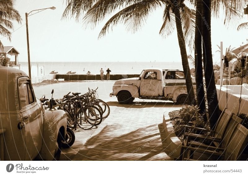 key west beach Retro Beach old car Sepia Palm tree tranquility bicycles chairs calm ocean