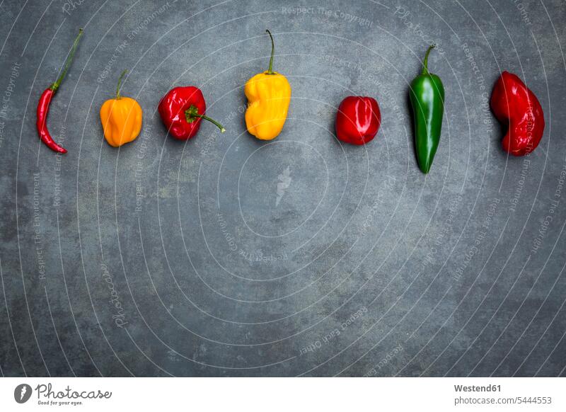 Row of various chili pods on grey background food and drink Nutrition Alimentation Food and Drinks close-up close up closeups close ups close-ups red