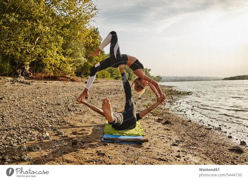 Free Photo  Young yoga lovers doing acrobatics