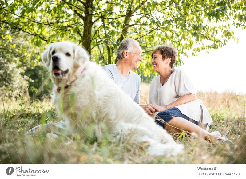 Happy senior couple with dog in meadow dogs Canine smiling smile meadows twosomes partnership couples pets animal creatures animals people persons human being
