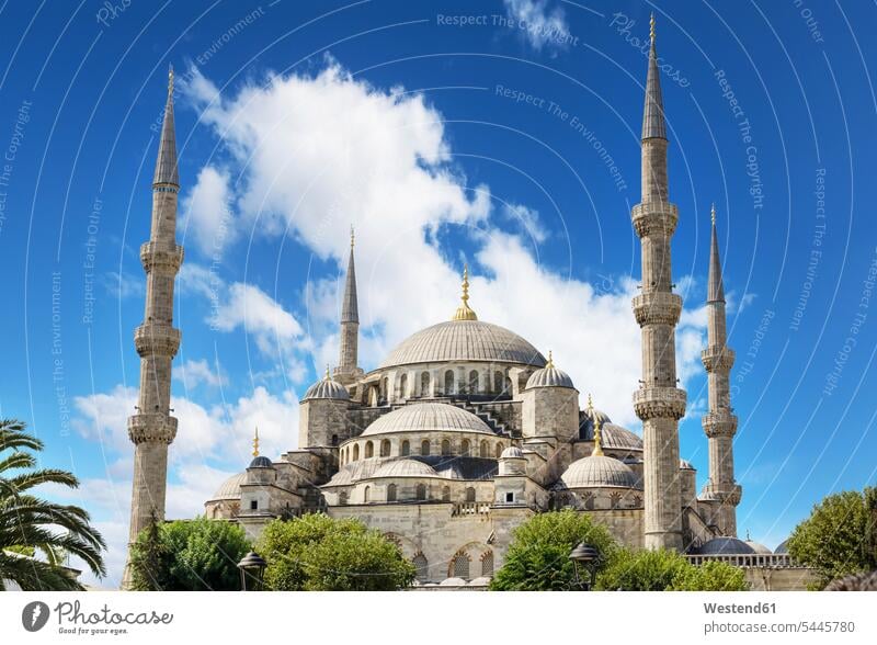 Turkey, Istanbul, Blue Mosque cloud clouds building buildings Sultanahmet Camii outdoors outdoor shots location shot location shots Architecture Palm Palm Trees