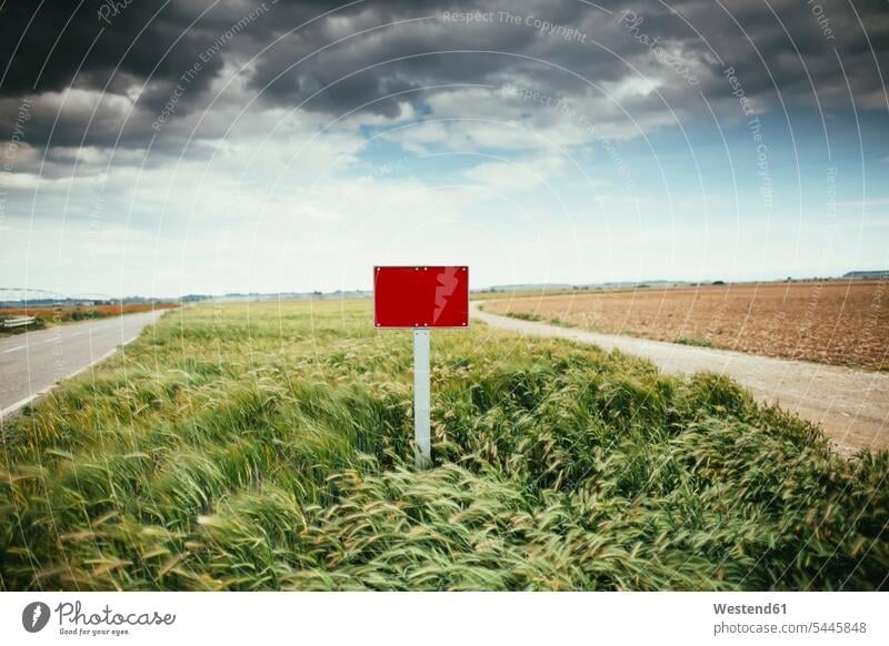 Spain, Lleida, sign in a field stormy atmosphere Cereal Cereals grain day daylight shot daylight shots day shots daytime Absence Absent cloudscape cloudscapes