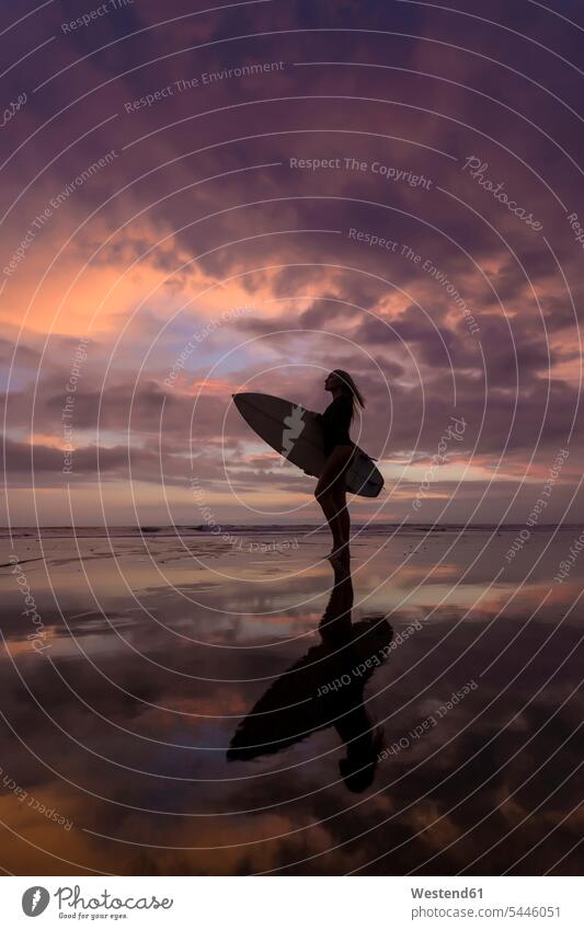 Indonesia, Bali, young woman with surfboard standing evening in the evening silhouette silhouettes leisure free time leisure time surfer female surfer surfers