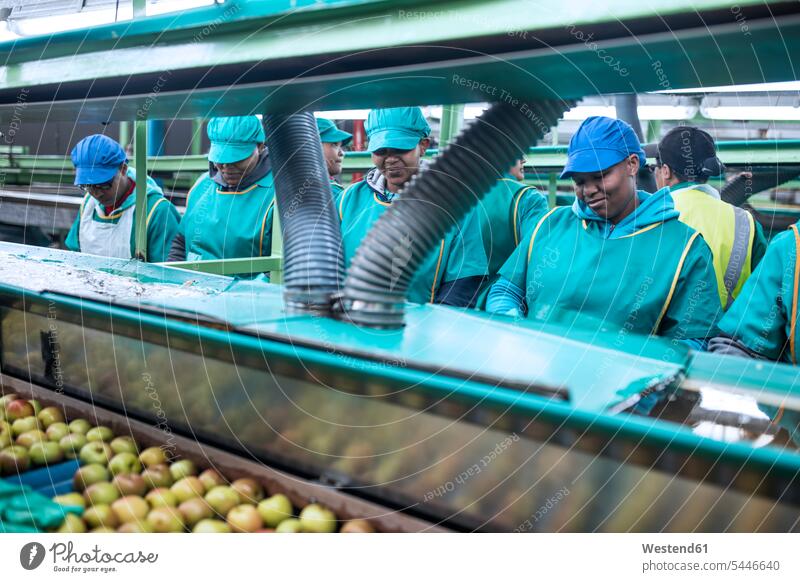 Women working in apple factory Mixed Race Person mixed-race Person mixed race ethnicity automation industry industrial group of people Group groups of people