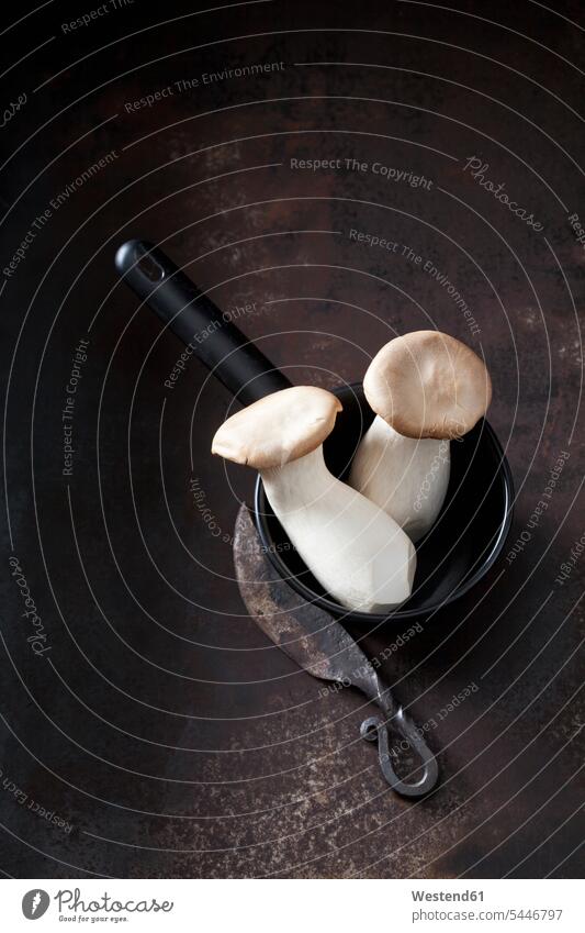 Two king trumpet mushrooms, saucepan and an old knife on rusty ground knives raw healthy eating nutrition wrought iron wrought-iron uncooked pleurotus erygnii