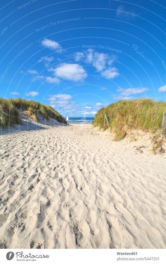 Germany, Lower Saxony, East Frisian Island, Juist, dune and beach landscape cloud clouds tranquility tranquillity Calmness day daylight shot daylight shots