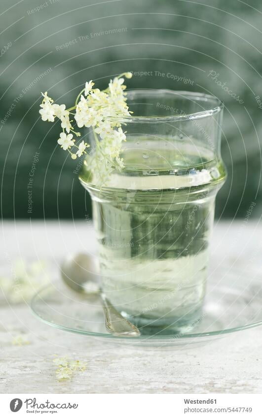 Glass of water flavoured with elderflower sirup flower head flower heads natural naturally liquid fluid still life still-lifes still lifes sweet Sugary sweets