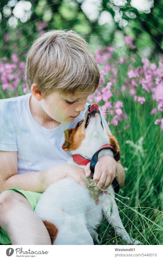 Little boy sitting with his dog on meadow in the garden dogs Canine boys males pets animal creatures animals child children kid kids people persons human being