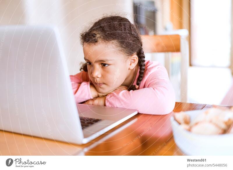 Little girl using laptop, sitting at table Table Tables alone solitary solo home at home females girls playing Seated Laptop Computers laptops notebook child