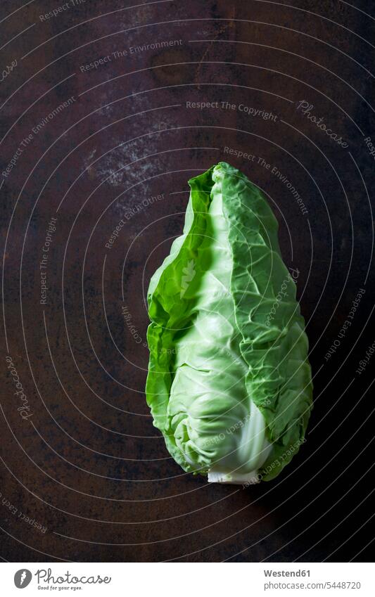 Sweetheart cabbage on dark background copy space seedless studio shot studio shots studio photograph studio photographs healthy eating nutrition close-up