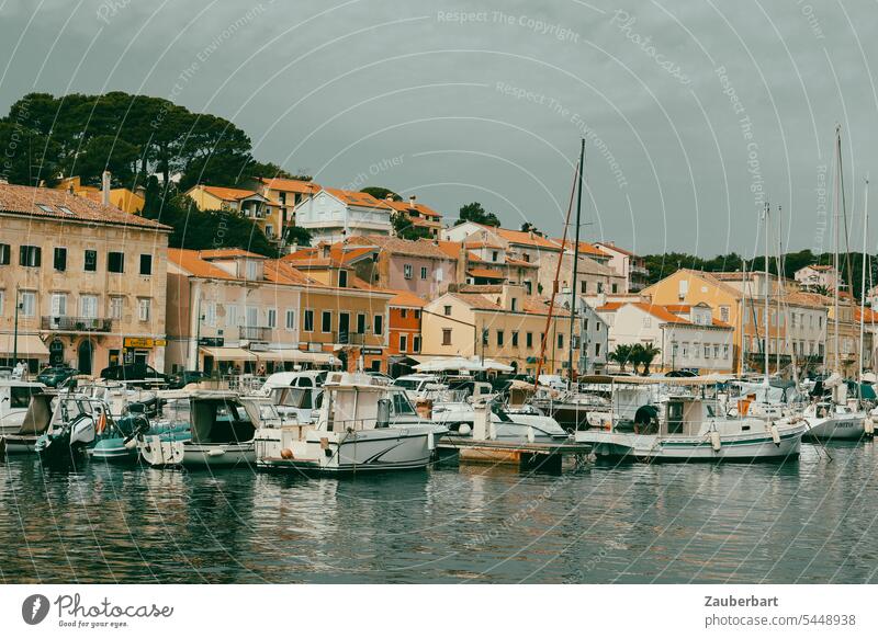 harbor view with sailboats on ligurian coast Harbour Liguria Italy Summer vacation travel Vacation & Travel Ocean Water Tourism Exterior shot Bay