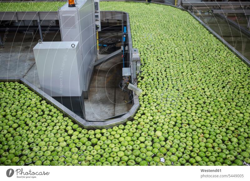 Green apples in factory being washed food and drink Nutrition Alimentation Food and Drinks green apple green apples industry industrial food industry Hygiene