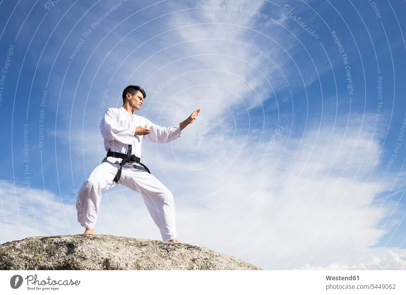 Manga Kung Fu Poses Characters Cartoon Vector Stock Illustration - Download  Image Now - Kung Fu, Shaolin, Aikido - iStock