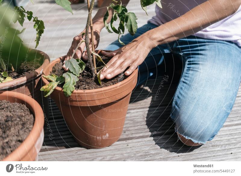 Woman caring for plants on balcony flowerpot flowerpots flower pot flower pots woman females women balconies Plant Plants Adults grown-ups grownups adult people