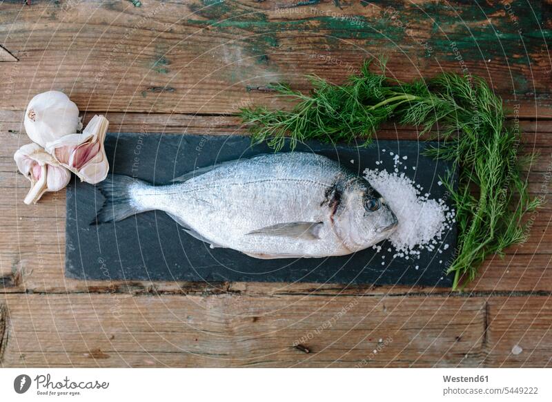 Sea Bream on a slate board with dill and salt and garlic fish food fish edible fish Anetum Graveolens wooden preparing Food Preparation preparing food raw