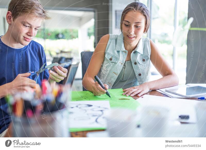 Boy and girl working on project together learning projects student pupils schoolchildren education home at home caucasian caucasian ethnicity