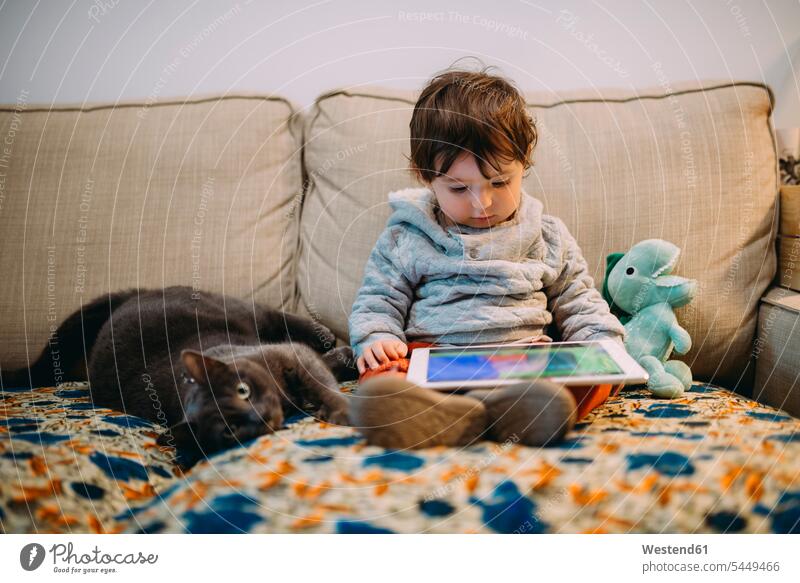 Baby girl sitting on couch watching videos on a tablet with a cat digitizer Tablet Computer Tablet PC Tablet Computers iPad Digital Tablet digital tablets