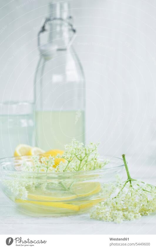 Homemade elderflower sirup, lemon slices and elderflowers food and drink Nutrition Alimentation Food and Drinks aroma flavour aromatic natural naturally Lemon