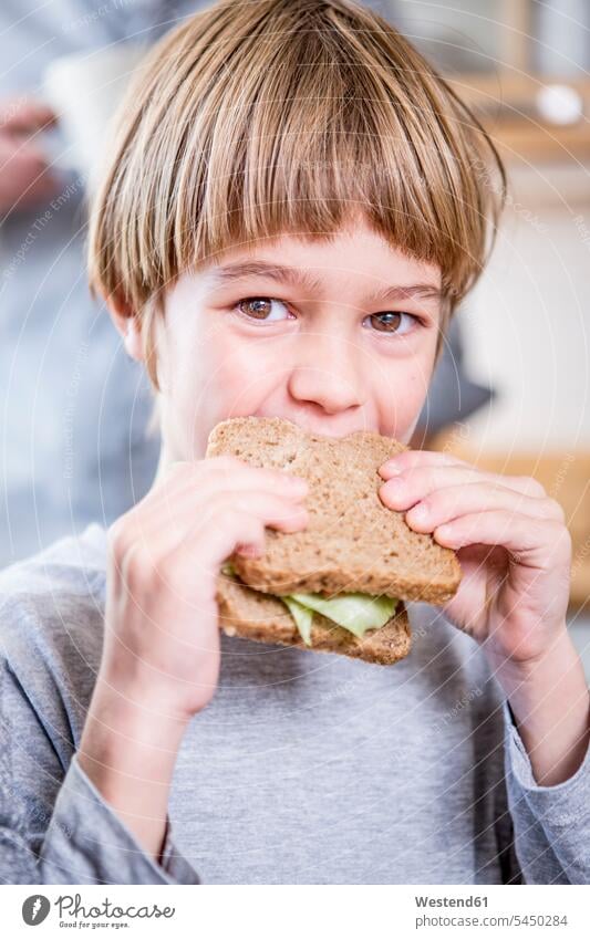 Boy eating a sandwich portrait portraits boy boys males Sandwich Sandwiches child children kid kids people persons human being humans human beings Bread Breads