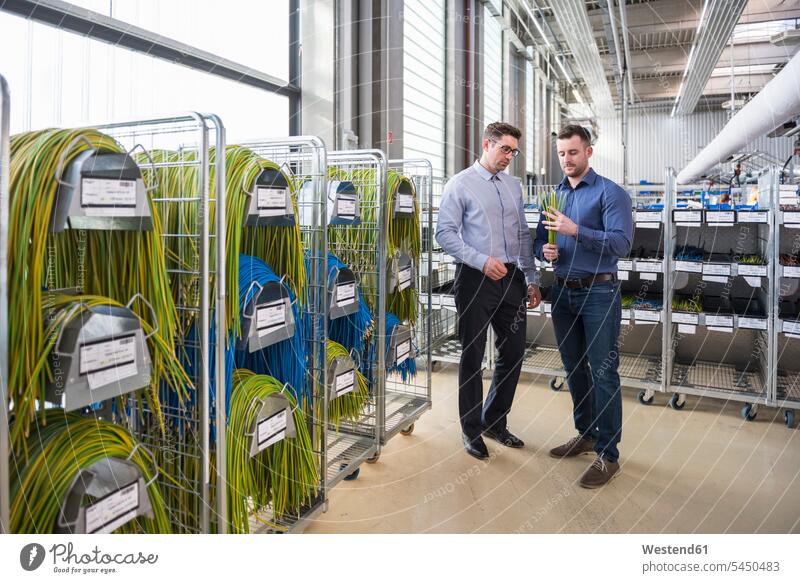 Two men in factory shop floor examining product man males working At Work factories colleagues Adults grown-ups grownups adult people persons human being humans